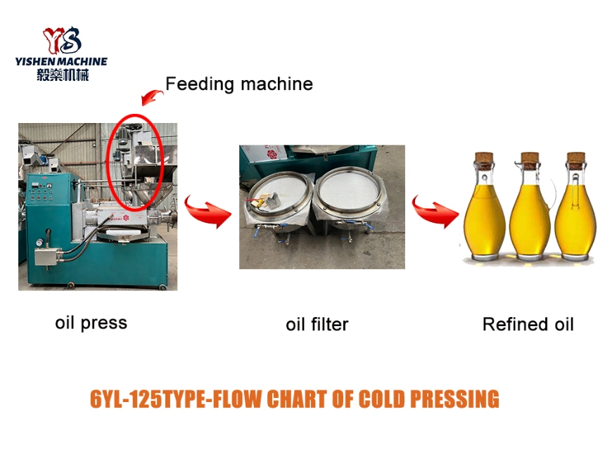 Hot Sale All Kinds of Seeds Mini Automatic Oil Press Machine